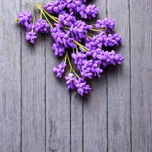 Directly above shot of purple flowers on wooden table
