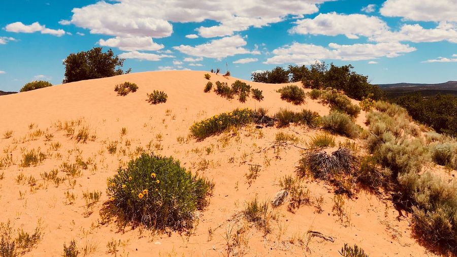 Scenic view of desert against sky