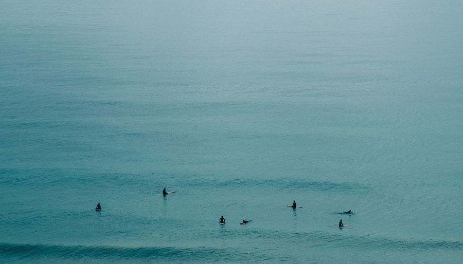 High angle view of people surfing in sea