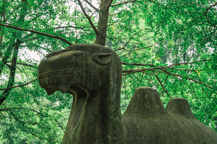 Low angle view of statue against tree trunk