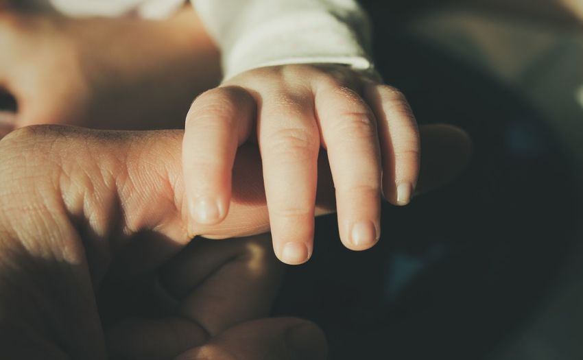 Cropped hands of father and child
