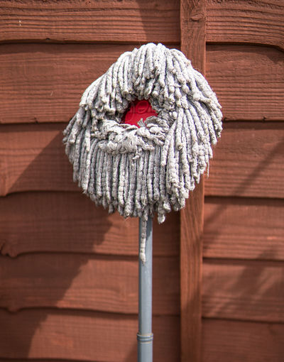 Close-up of mop against wooden wall