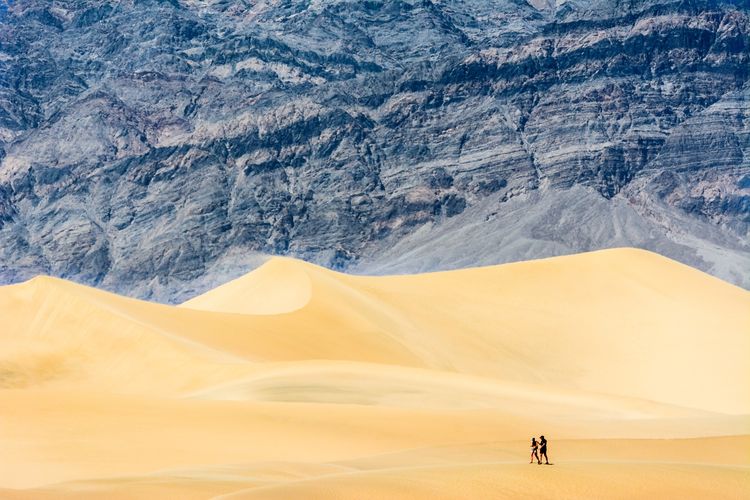 Scenic view of desert