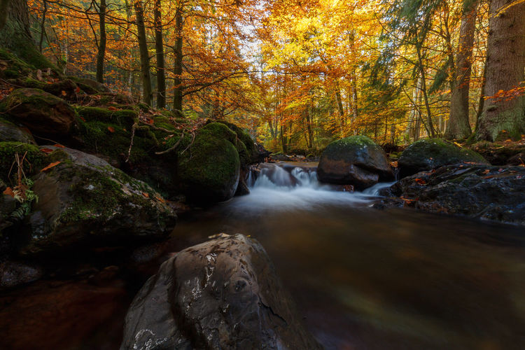 Stream flowing through rocks in forest during autumn