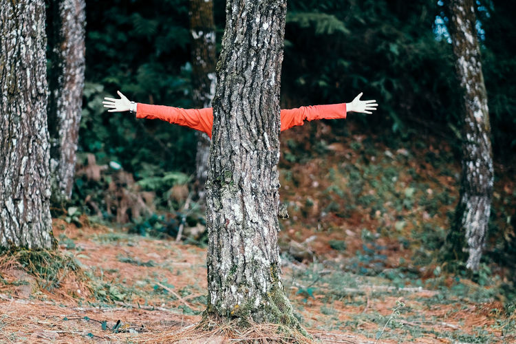 Person with arms outstretched standing against tree in forest