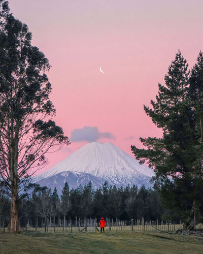 Person admiring the beautiful pastel sunset with the mountain and moon. new zealand 