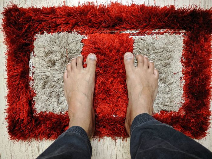 Low section of man standing on rug