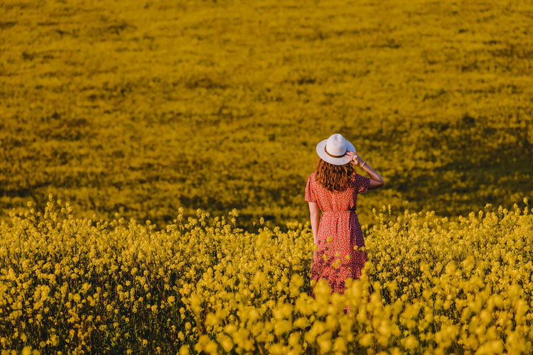 Woman in the hat in a mustard field, view from the back.