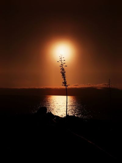 Scenic view of lake at sunset