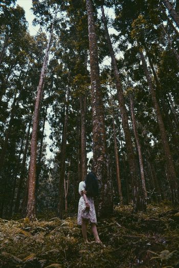 Full length of woman standing by tree in forest