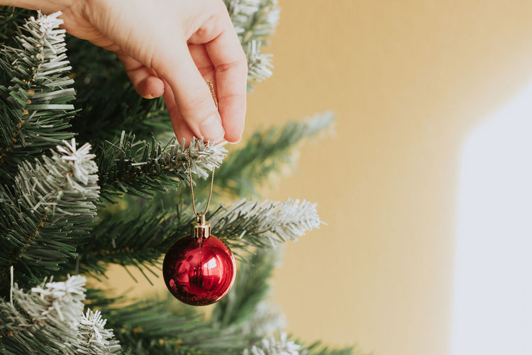 Anonymous person hanging red bauble on branch of christmas tree home person