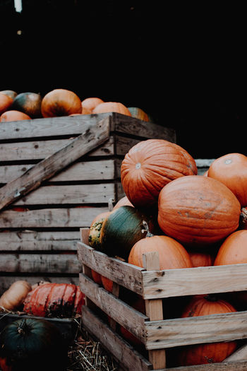 Pumpkins in wooden crates for sale