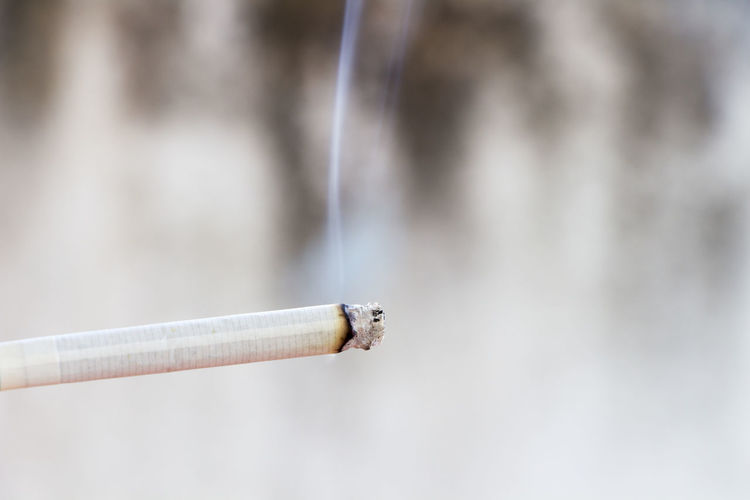 Close-up cigarette