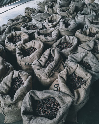 Bags of cocoa beans 