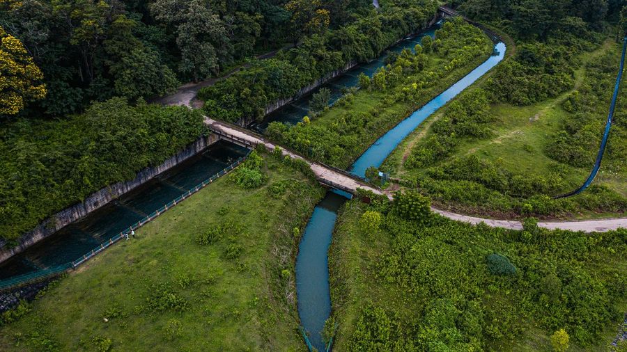 High angle view of road amidst trees
