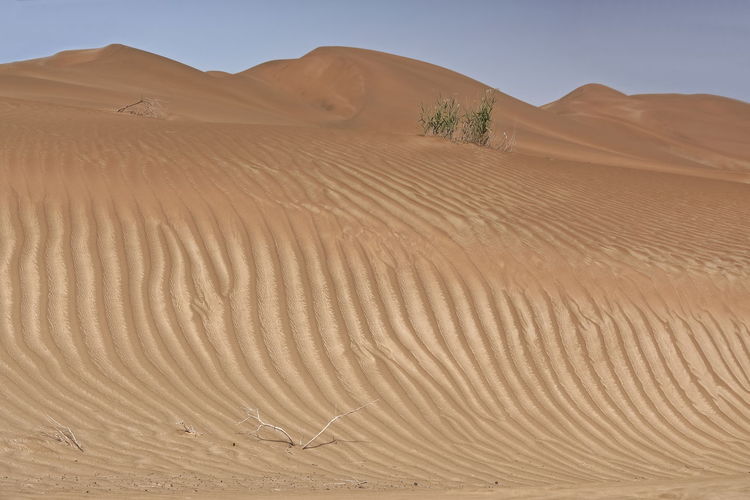 Scenic view of sand dune in desert against sky