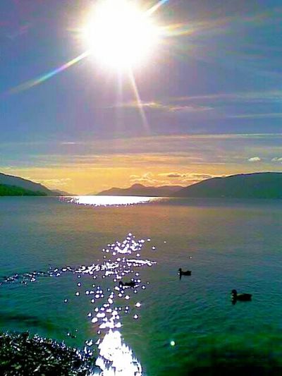 Sun shining over sea