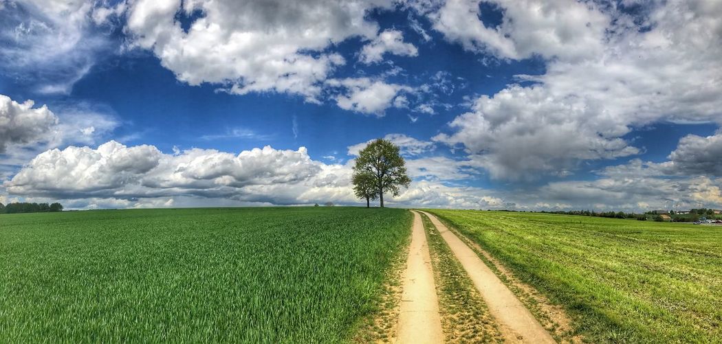 Panoramic view of agricultural field against sky