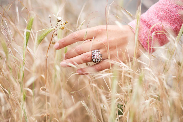 Woman's hand touching wheat in golden wheat field
