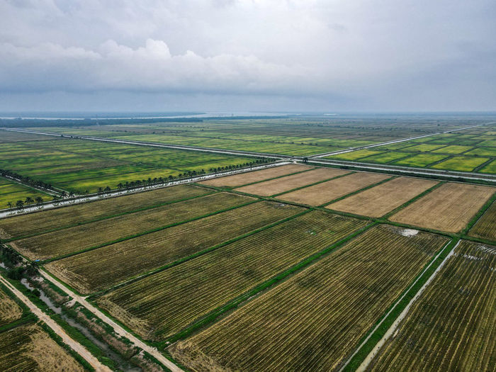 Aerial view of agricultural field against sky
