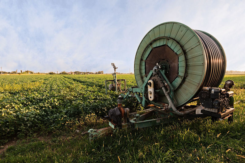Agricultural field against sky