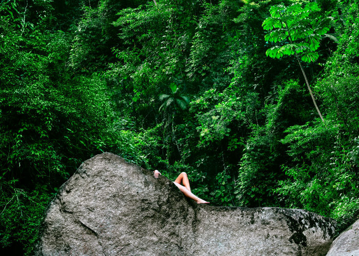 Man climbing on rock in forest