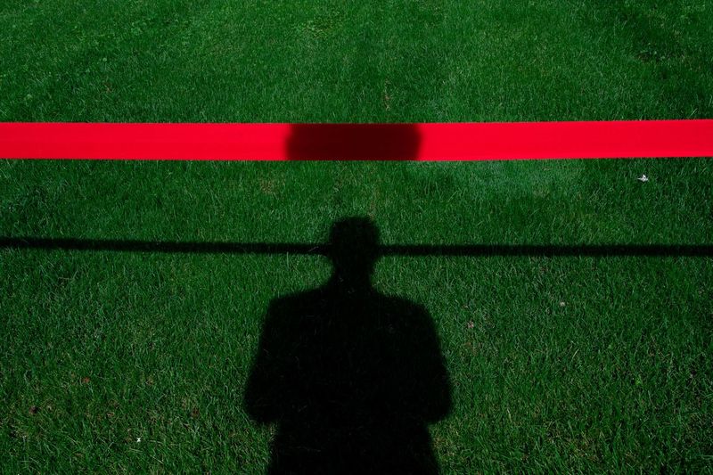 Tiny red line on gras with shadow