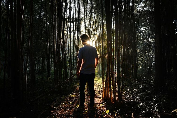 Man standing amidst trees in forest