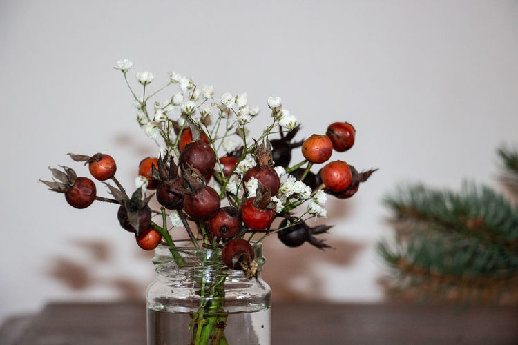 Close-up of red berries on glass table