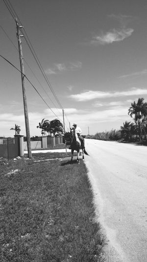 Man riding horse by road against sky on sunny day