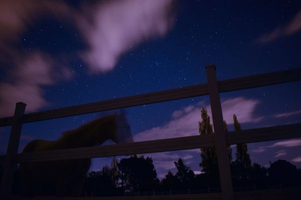 LOW ANGLE VIEW OF STARS AGAINST SKY AT NIGHT
