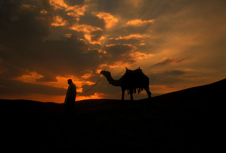 Silhouette man with camel walking on hill against cloudy sky during sunset