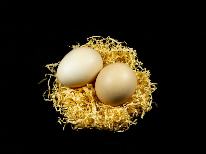 Close-up of eggs against black background