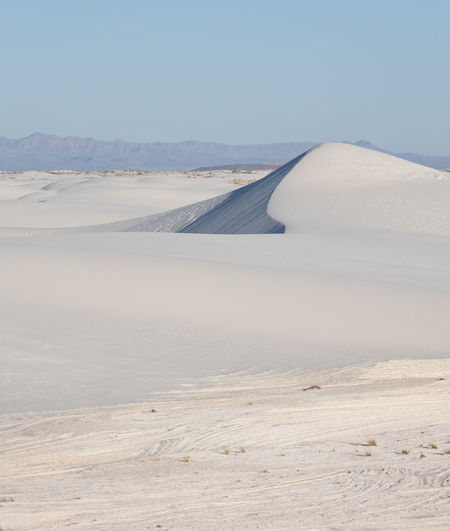 Gypsum sand dunes in white sands national park