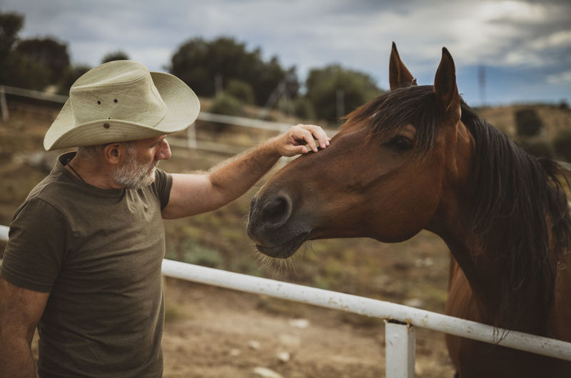 Adult man with cowboy hat toughing brown horse in ranch