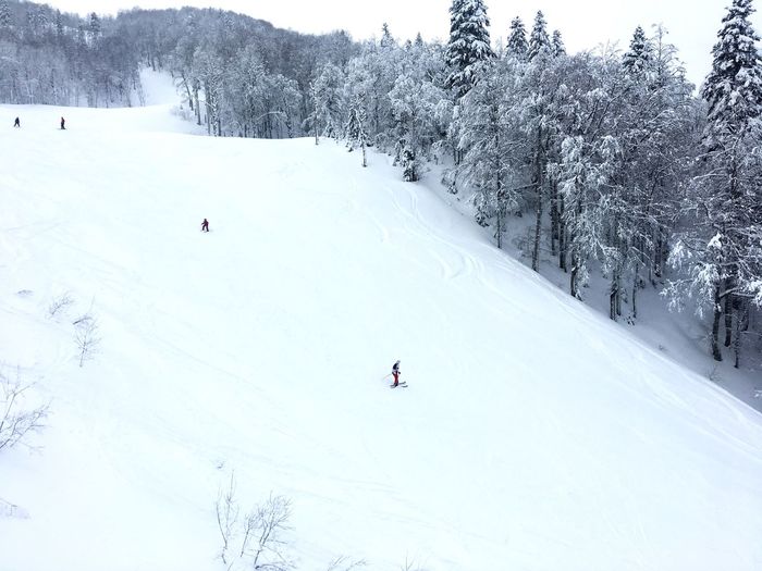 View of people skiing on snow covered land
