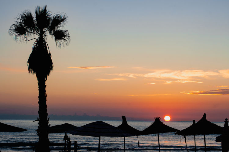 Silhouette palm trees on beach against sky at sunset