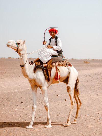 Side view of bedouin young man  riding camel in the desert 