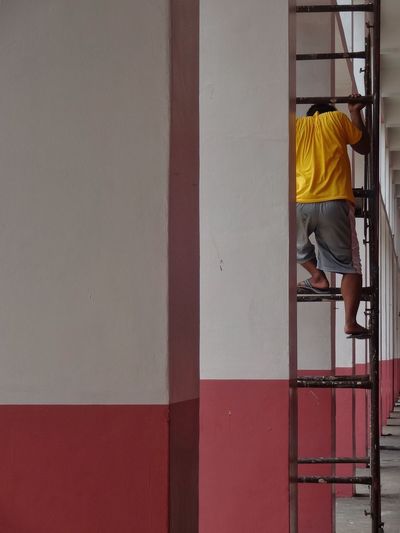 Painter on a ladder