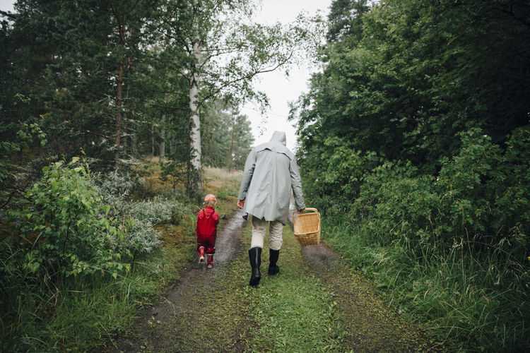 Rear view of father and son walking in forest