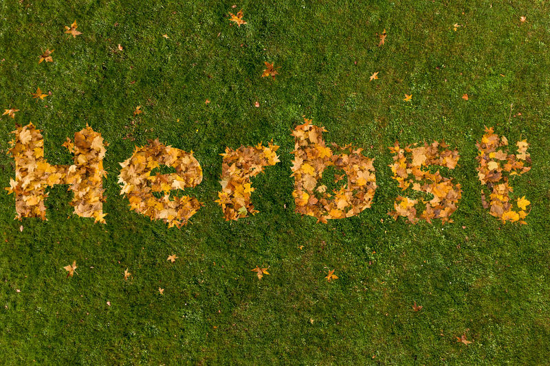 High angle view of text on grassy field