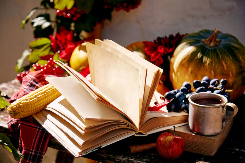 Cozy autumn -open book,  grapes, apples, viburnum, pumpkin, corn, mug of tea. outdoor trendy shadows
