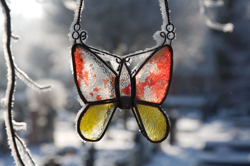 Close-up of frosted butterfly decoration