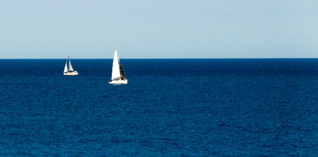 Sailboat sailing in sea against clear sky