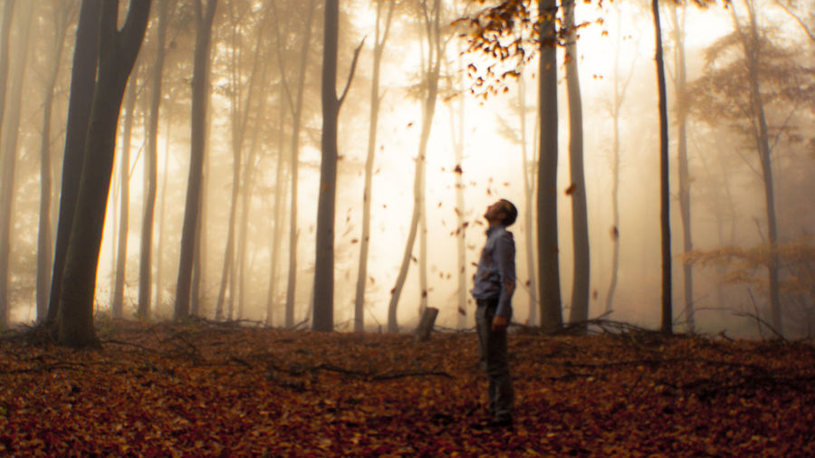Dry leaves falling on man in forest during foggy weather