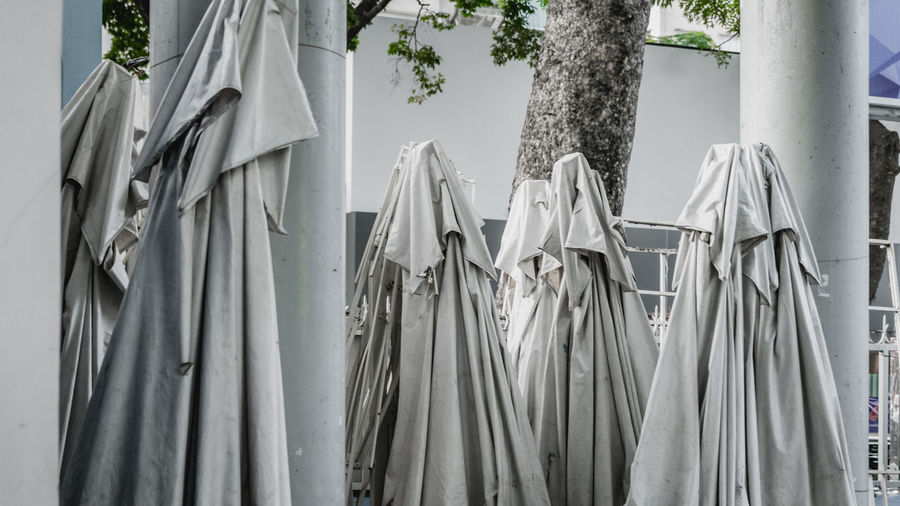 Close-up of clothes hanging on tree trunk