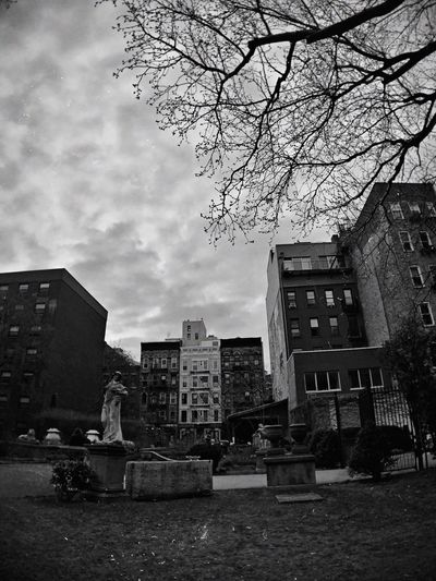 Bare trees in city against sky