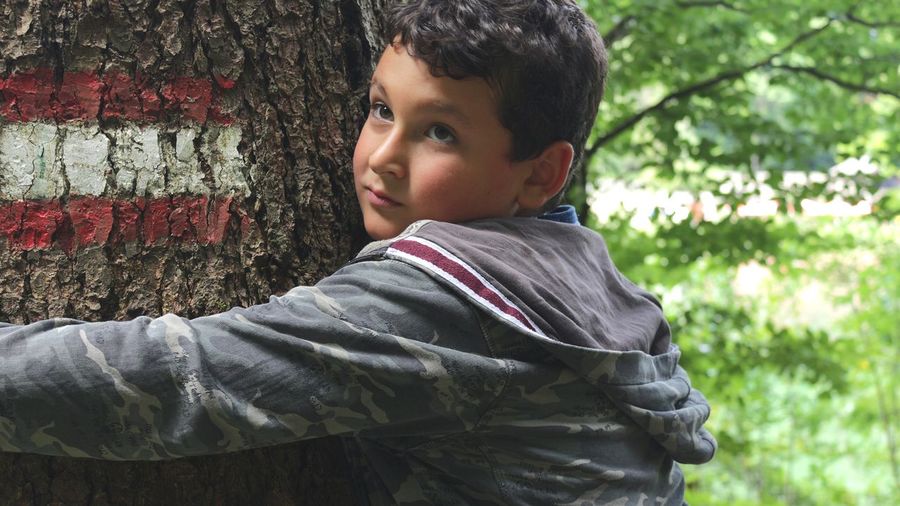 Portrait of boy in tree trunk