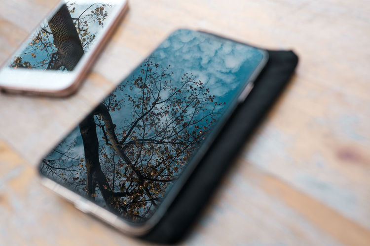 High angle view of smart phones on table mirroring tree