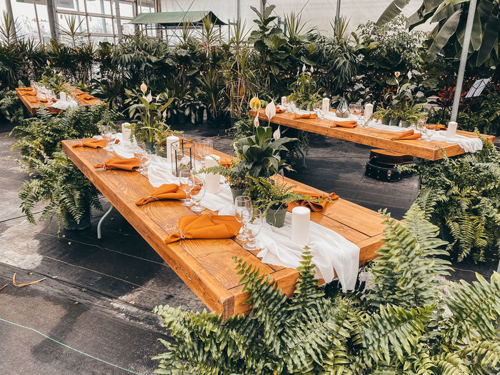 Potted plants on empty chairs and table against trees